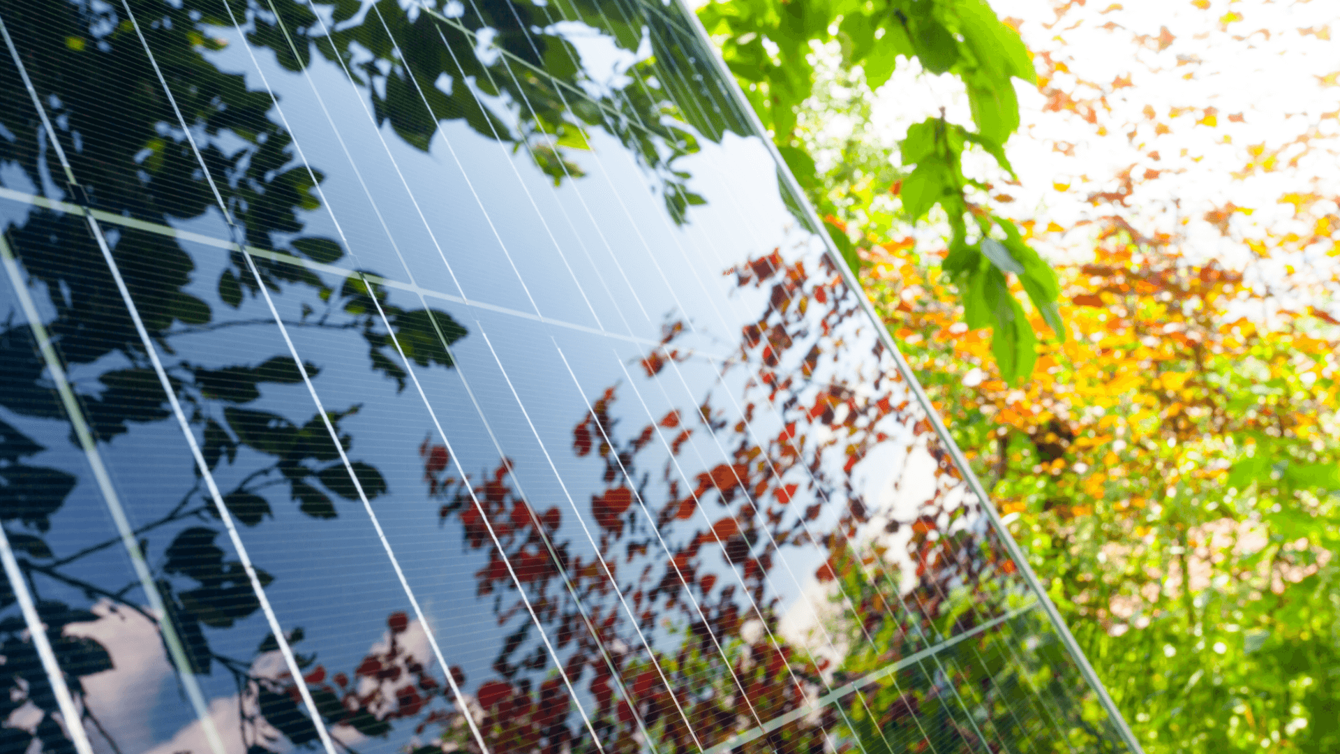 Paneles solares integrados